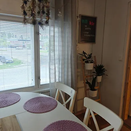 Big In The Middle Of City!! Apartamento Saarijärvi